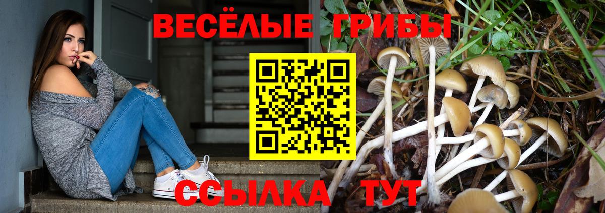 Псилоцибиновые грибы мицелий  наркошоп  Новошахтинск  Вход с VPN 